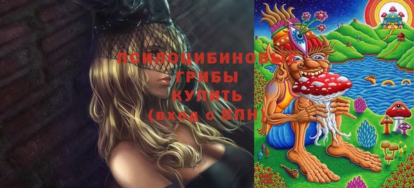 молекула духа Алексеевка