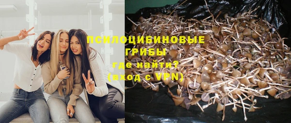эйфоретик Абдулино