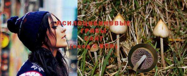 прущая мука Алзамай