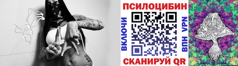 как найти закладки  Арсеньев  Псилоцибиновые грибы MAGIC MUSHROOMS 
